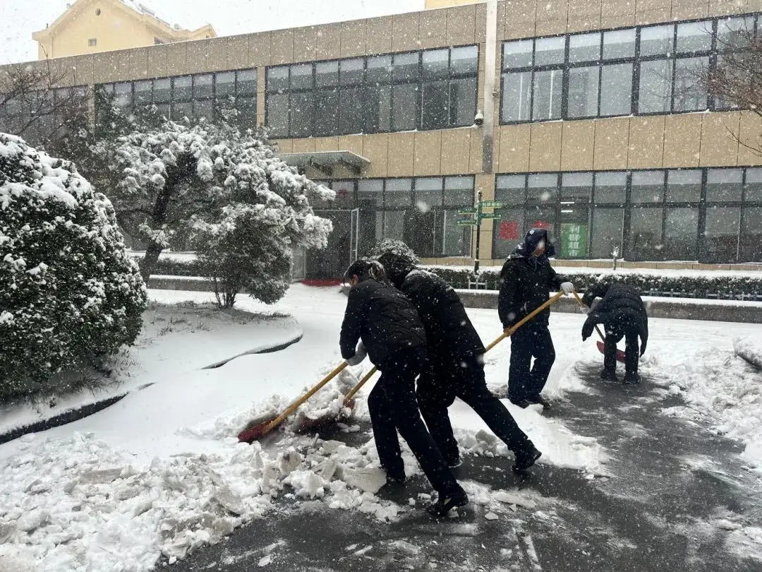 Teplý prúd v studenej vlne